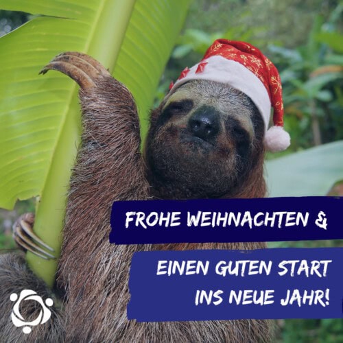 Frohe Weinachten 2022